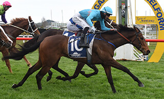 Only Words (NZ) (Sweynesse) wins first black-type victory in the Listed HS Dyke Wanganui Guineas (1200m). 